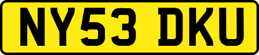 NY53DKU