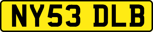 NY53DLB