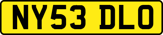 NY53DLO