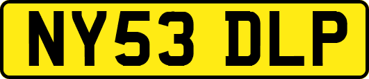 NY53DLP
