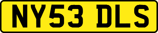NY53DLS
