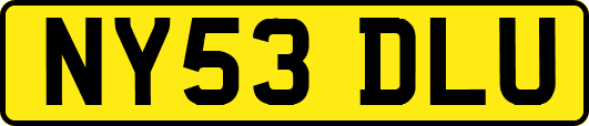 NY53DLU