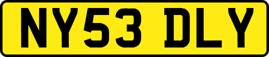 NY53DLY