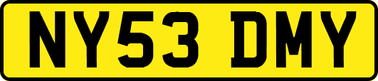 NY53DMY