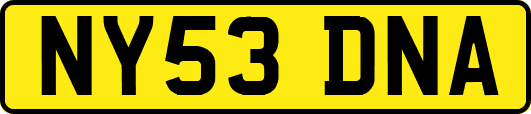 NY53DNA