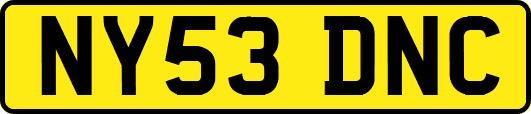 NY53DNC