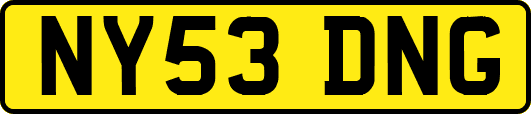 NY53DNG