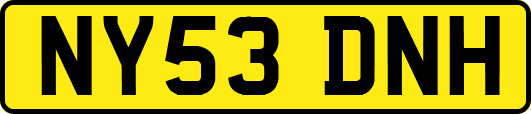 NY53DNH