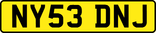 NY53DNJ