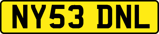 NY53DNL