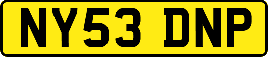 NY53DNP