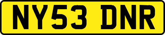 NY53DNR