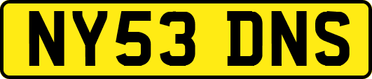 NY53DNS
