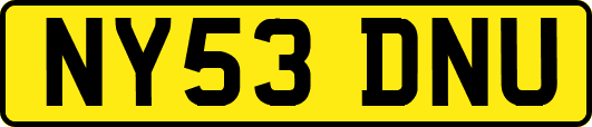 NY53DNU