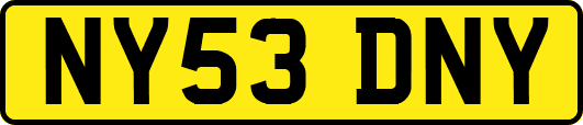 NY53DNY