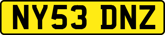 NY53DNZ