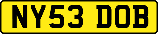NY53DOB