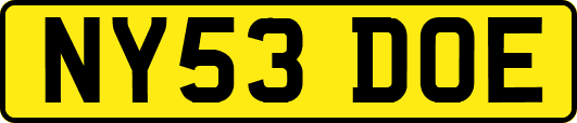 NY53DOE