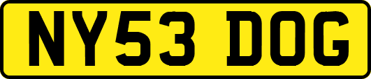 NY53DOG