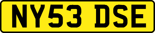 NY53DSE