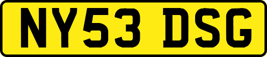NY53DSG