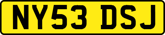 NY53DSJ