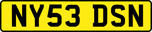 NY53DSN