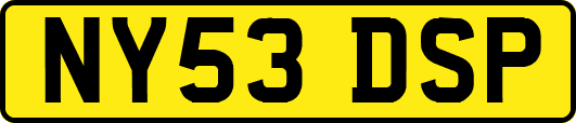 NY53DSP