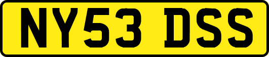 NY53DSS