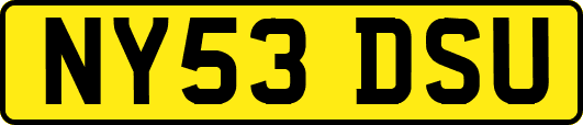 NY53DSU