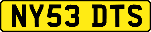 NY53DTS
