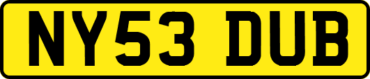 NY53DUB