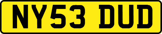 NY53DUD
