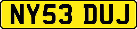 NY53DUJ