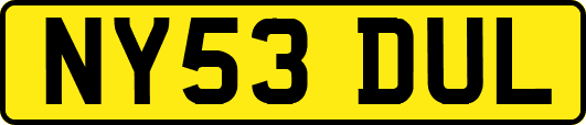 NY53DUL