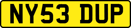NY53DUP