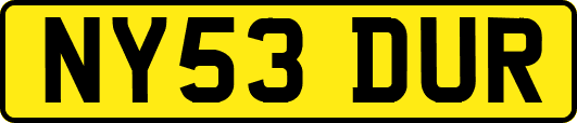 NY53DUR