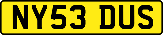 NY53DUS
