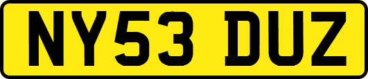NY53DUZ
