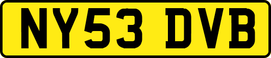 NY53DVB
