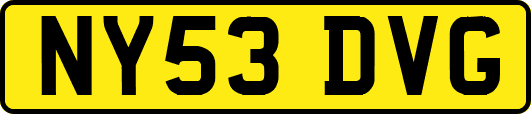 NY53DVG