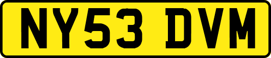 NY53DVM