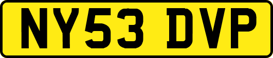 NY53DVP