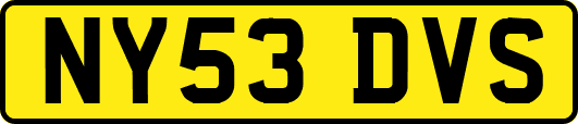 NY53DVS