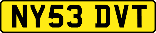 NY53DVT