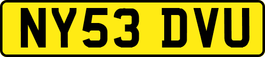 NY53DVU