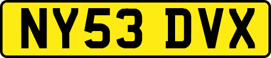 NY53DVX