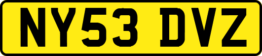 NY53DVZ