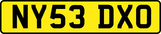 NY53DXO