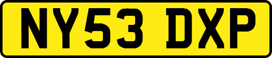 NY53DXP